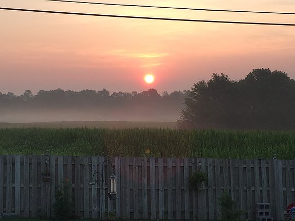 Morning view