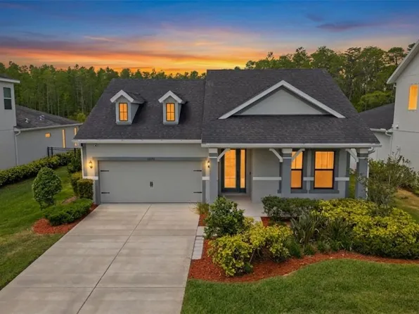 15170 AVILES PARKWAY, ODESSA, FL 33556