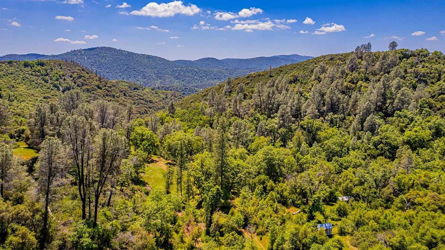 4743 Buffalo Gulch Rd photo 1