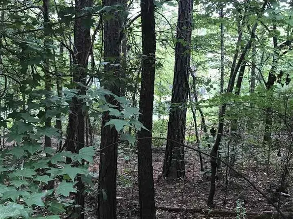 Lakeside Ln #25, Alpine, AL 35014