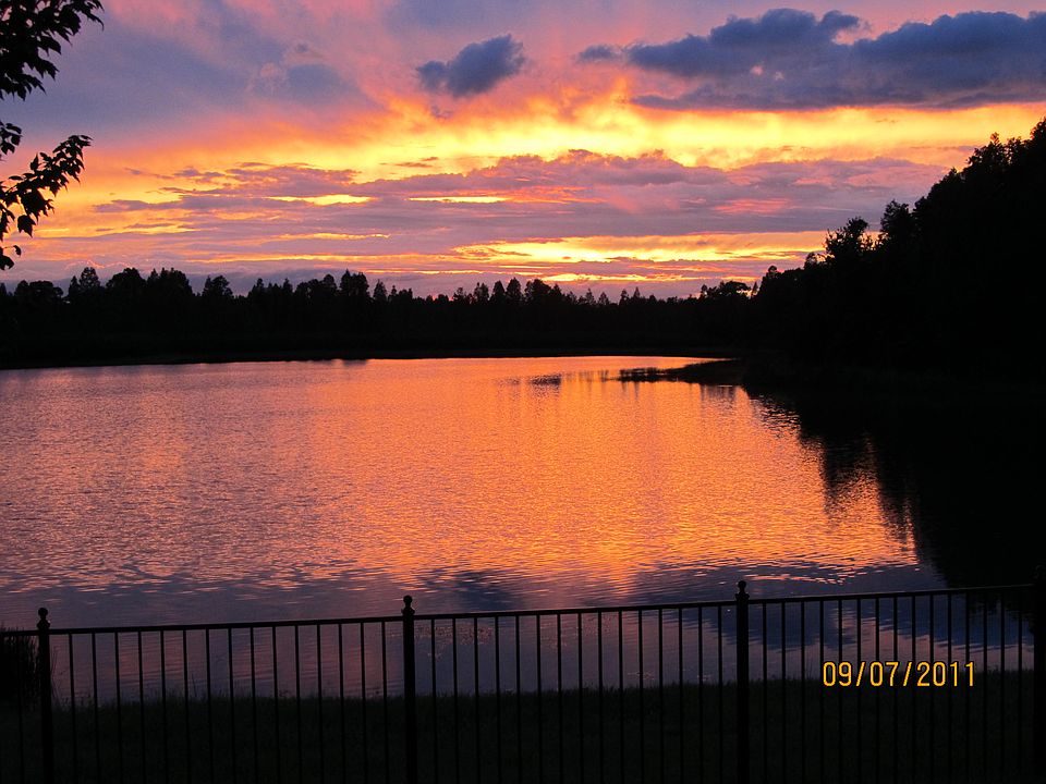 8232 Swiss Chard Cir, Land O Lakes, FL 34637 Zillow