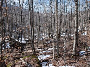 113 Pond Creek Rd, Banner Elk, NC 28604