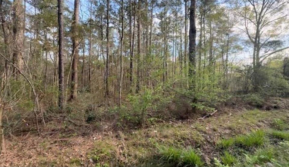 1st image of 21263 Lowe Davis Rd