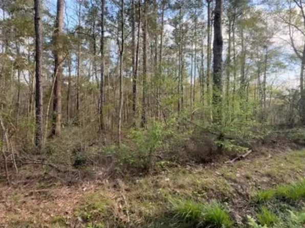 21263 Lowe Davis Rd, Covington, LA 70435