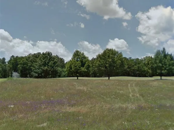 V L Camden Way, Hawkinsville, GA 31036