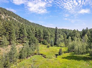 00 S Le Masters Drive, Evergreen, CO 80439