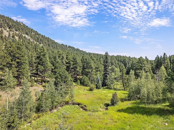 00 S Le Masters Drive, Evergreen, CO 80439