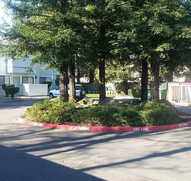 Madison Pines Apartments — Photo 7