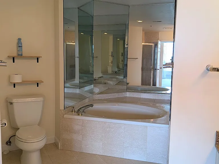 Master bathroom: Large soaking tub