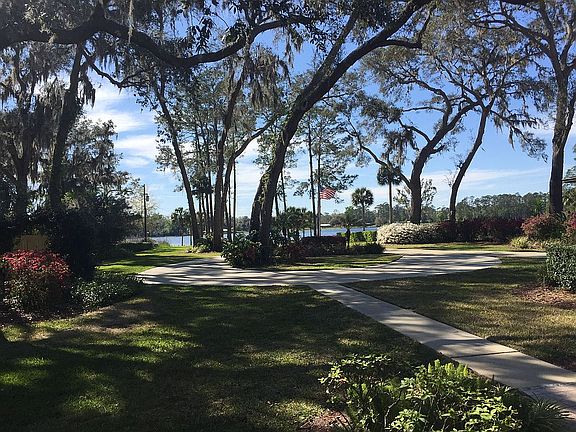 Many Live Oaks for shade