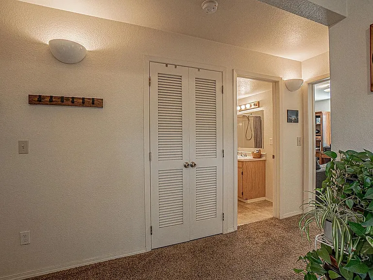 295 Tolman Creek Rd — Photo 13