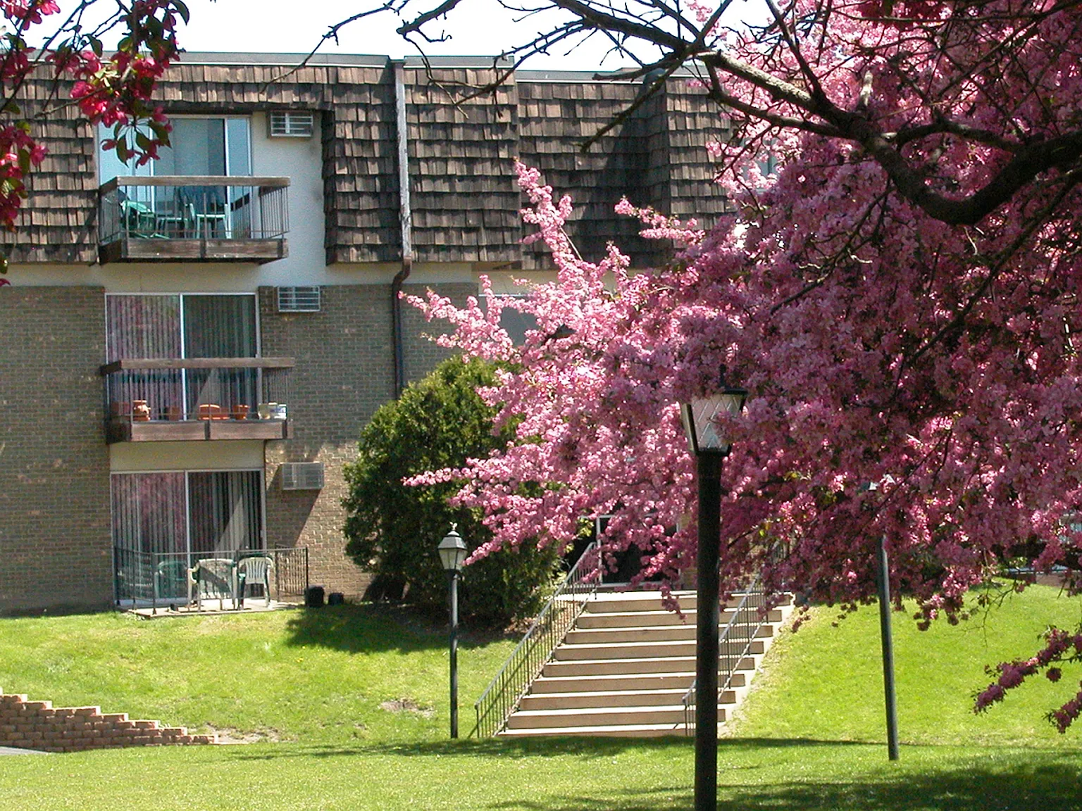 Winnetka Village Apts — Photo 4