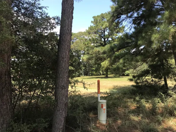 12 Cedar Spgs, Trinity, TX 75862