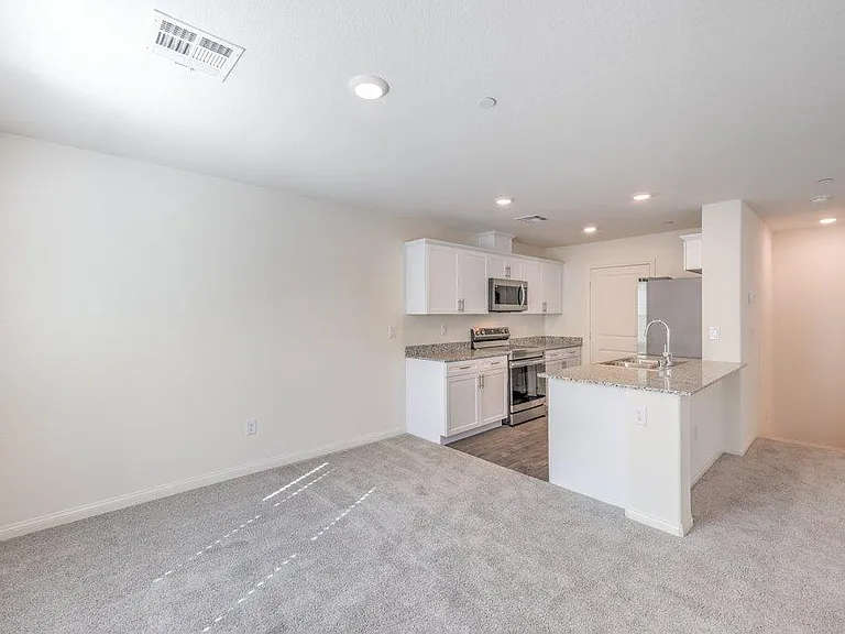2666 Champagne Gold Ave — Photo 5