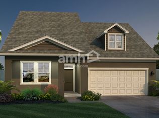 6482 Atlantic Beach Ave, Wesley Chapel, FL 33544