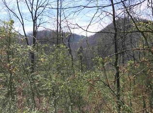 Chapel Hollow Rd, Del rio, TN 37727
