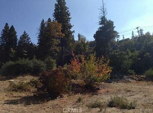 173 Bridge Ln, Cedar Glen, CA 92321