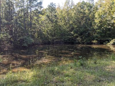 544 McGehee Rd SE, Meadville, MS, 39653