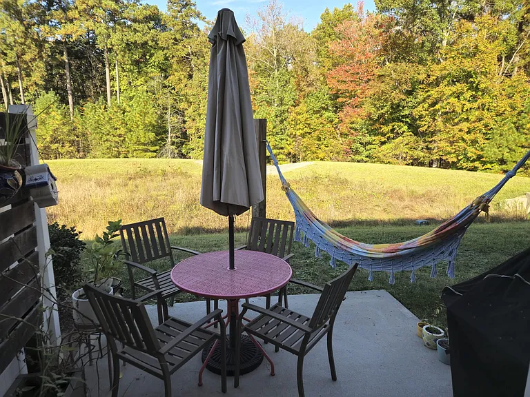 Patio area with hammock.