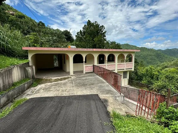 LOT B Highway 157 #Km-1.7, Orocovis, PR 00720