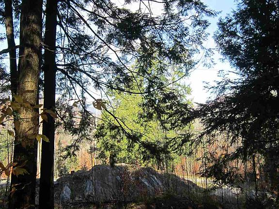 5th image of Lot 4 Echo View Drive