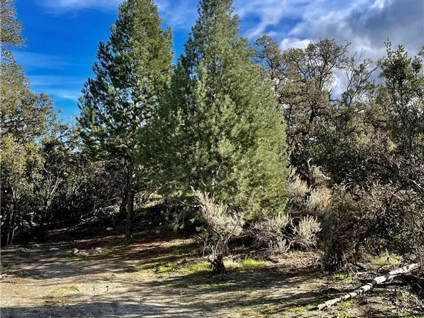 57850 Forestry Rd, Anza, CA 92539