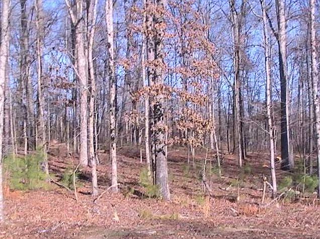 1st image of 2827 Annesley Mae Ct