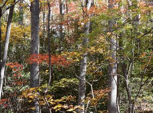 Tbd Clear Creek Rd, Burnsville, NC 28714