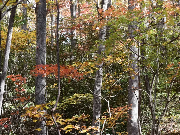 Tbd Clear Creek Rd, Burnsville, NC 28714