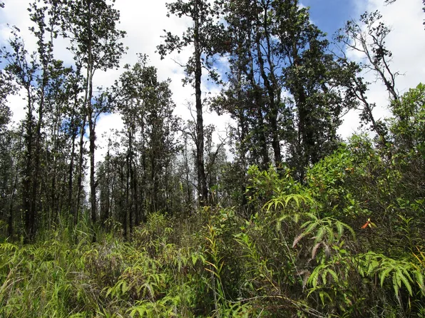 Road 7 Opeapea Lot 4633, Kurtistown, HI 96760