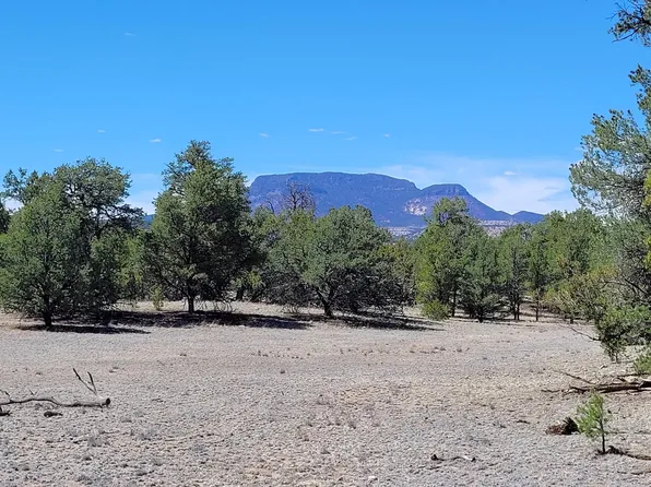 16 Navajo Way, Datil, NM 87821