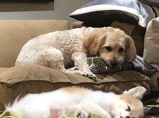 5608 S Spinnaker Rd, Tempe, AZ 85283