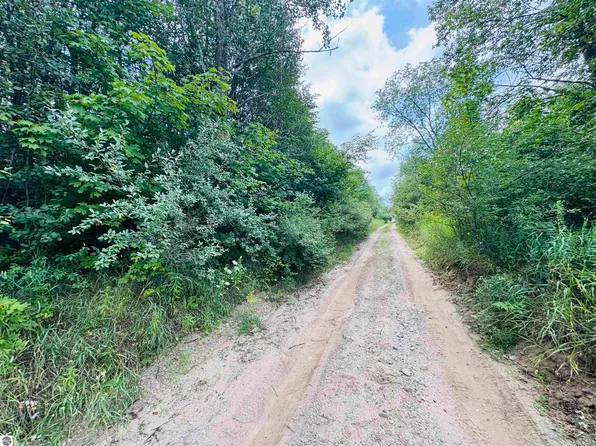 PARCEL B4/b5 Bosscher Rd, Manton, MI 49663