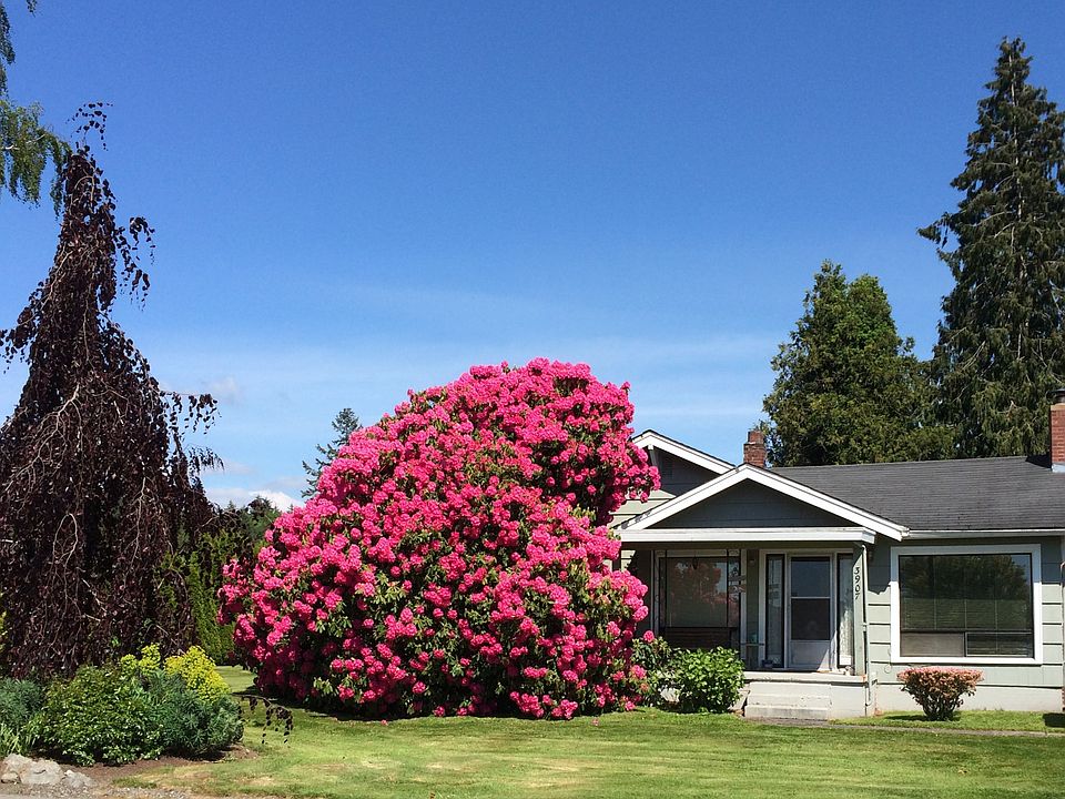 1st image of 3907 Sunnyside Blvd