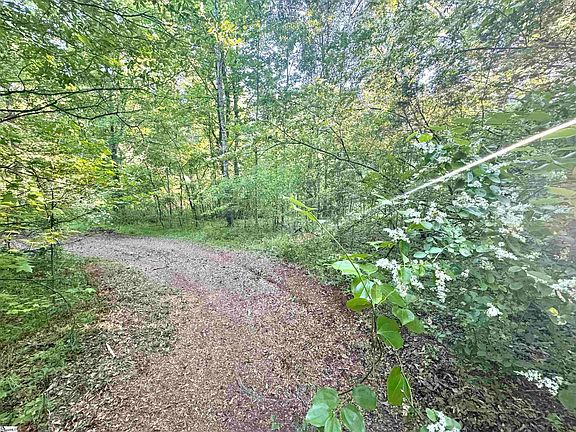 5th image of 0 Old Greenville Hwy #2