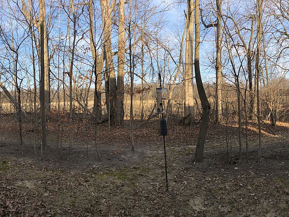 Panoramic view of backyard!