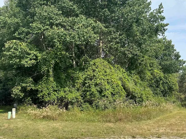 1000 Barcelona Dr Lot 297, Weidman, MI 48893