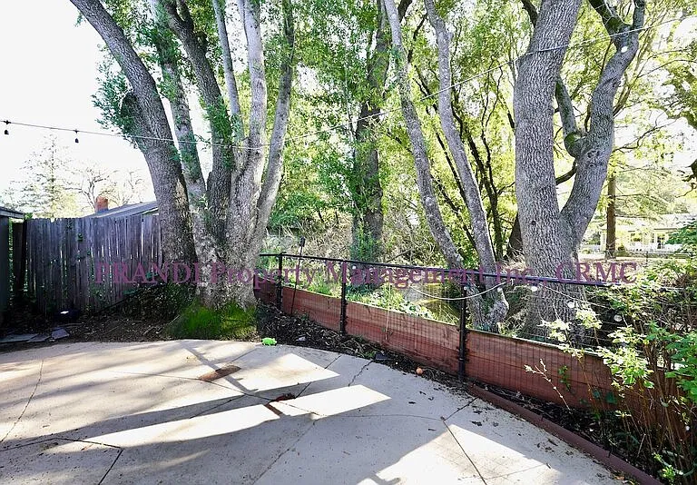 1501 Park Ct — Photo 8