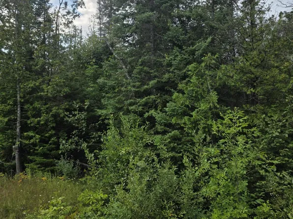 V/l Klee Rd, Rogers City, MI 49779
