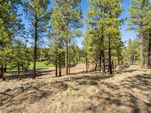 Lot 370 Woodland Hills Drive #370, Flagstaff, AZ 86005