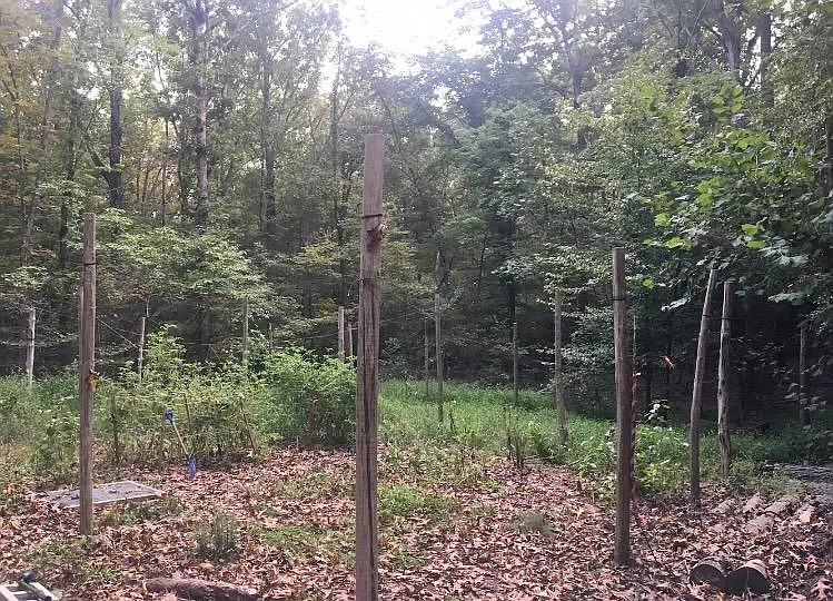 2867 Chicken Bridge Rd — Photo 15