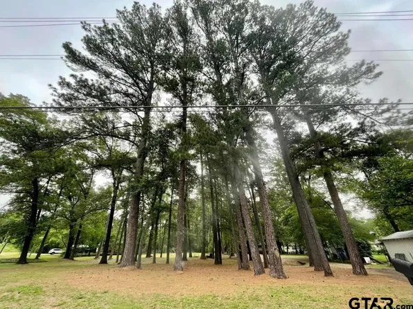 208 Mountain View Dr, Daingerfield, TX 75638