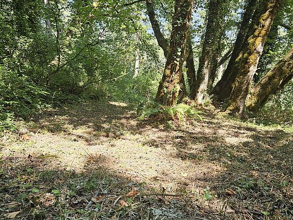 2nd image of 0 Washougal River Rd #103