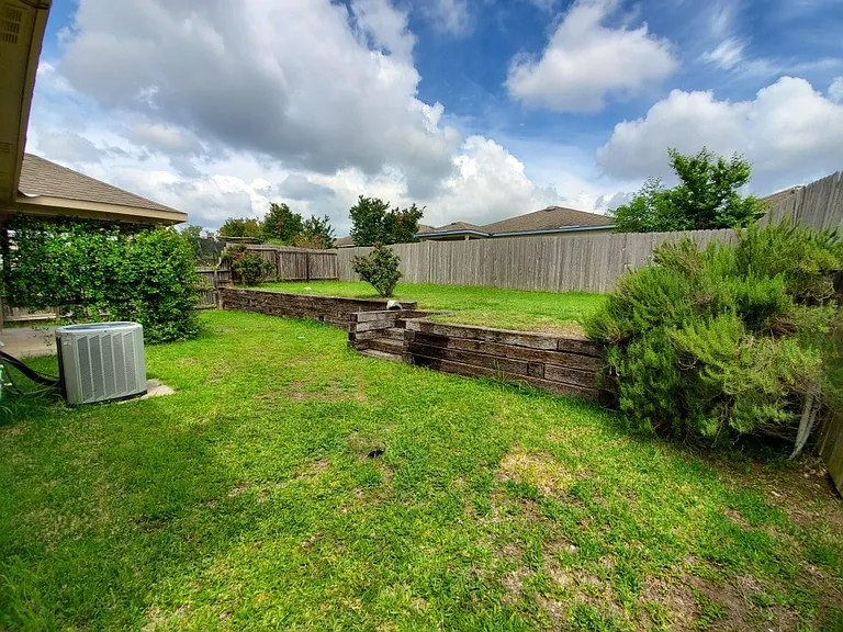 25714 Gold Yarrow — Photo 18