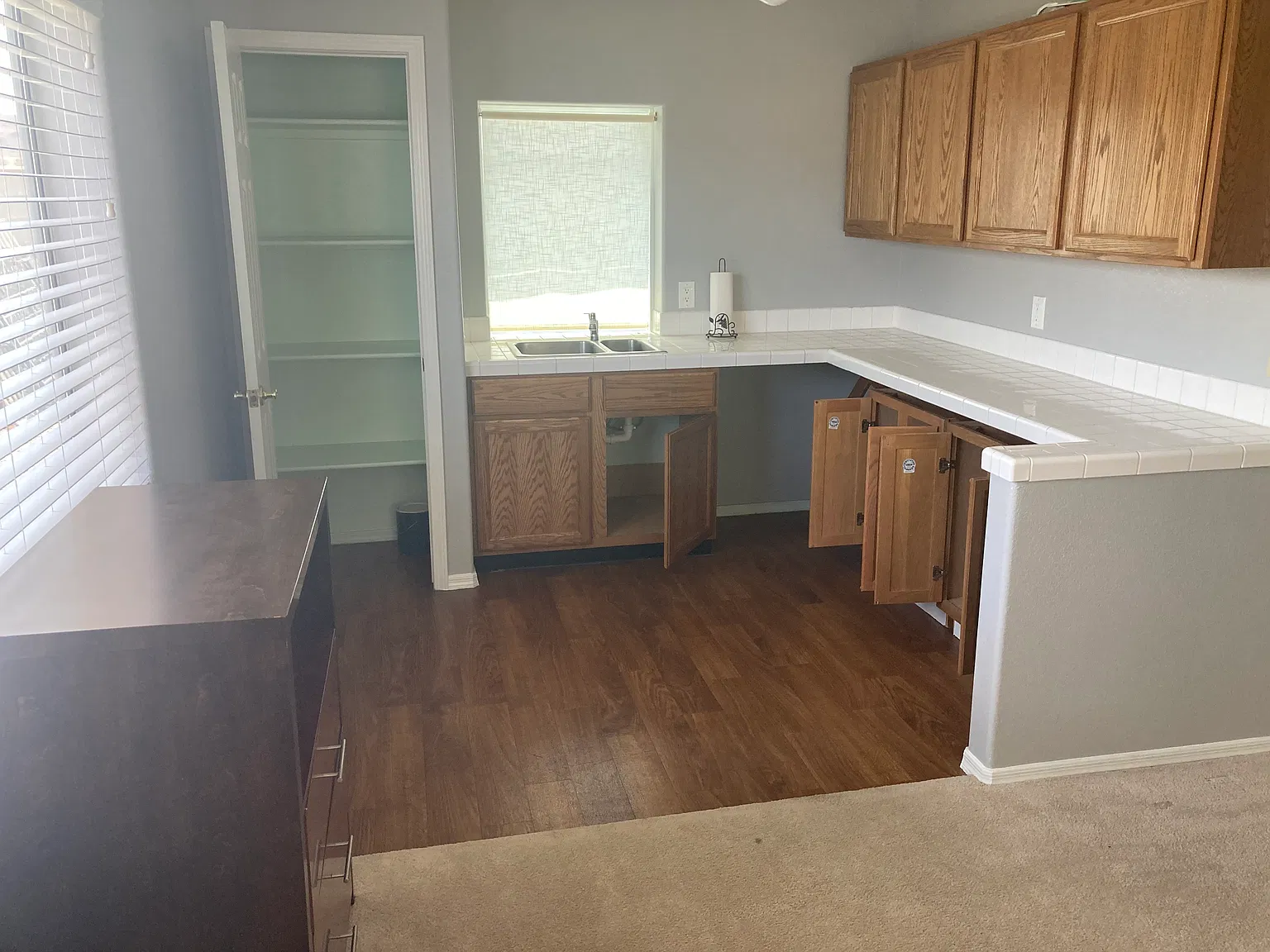 Fig Leaf Pl, Palm Gardens — Photo 3