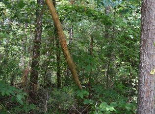 0 New Hope Club Rd LOT 0, Ellijay, GA 30540