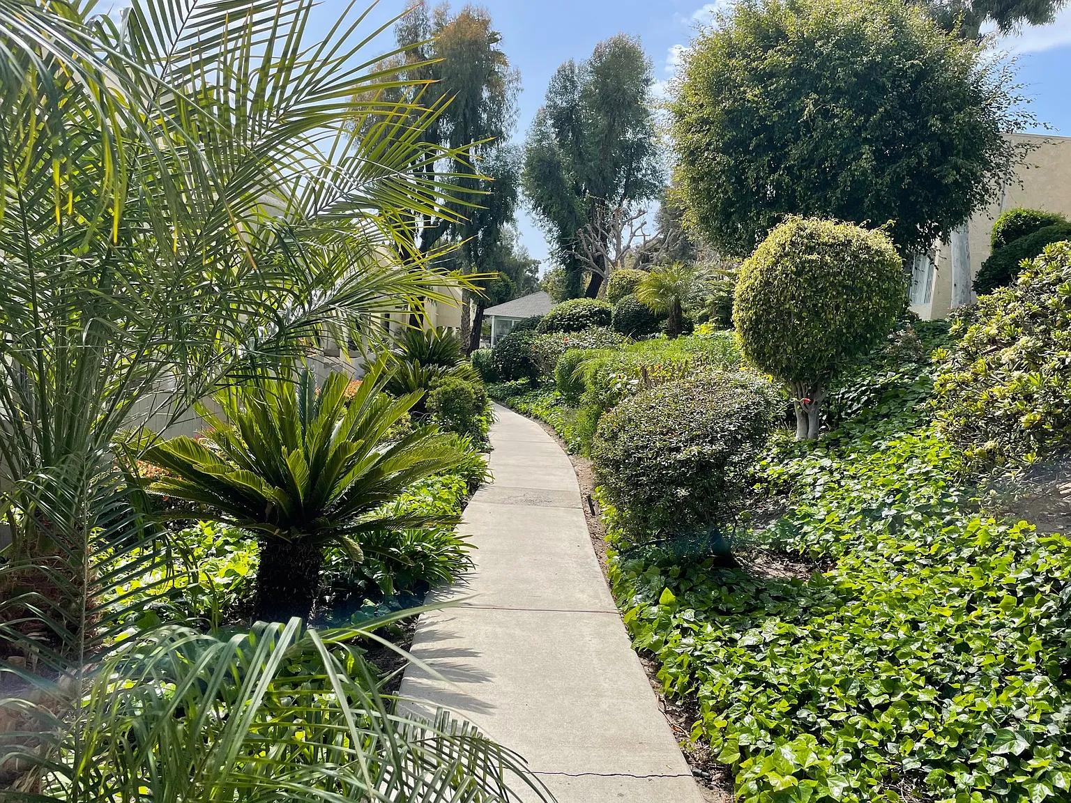 Westwood Village Apartments — Photo 4