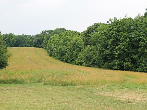 adjacent 50+ acre park