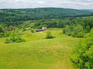 694 Chase Rd, Afton, NY 13730