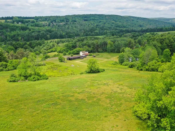 694 Chase Rd, Afton, NY 13730